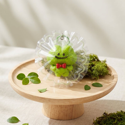 Silicone Frog Squishy Toy/Juguete Squishy de Rana de Silicona